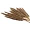 Dried Plant Bamboo Natural Foliage with Long Stems